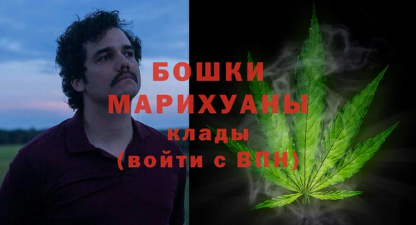 мдпв Осинники