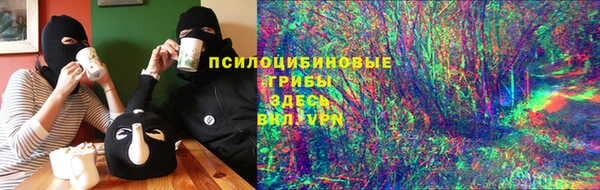 мдпв Осинники