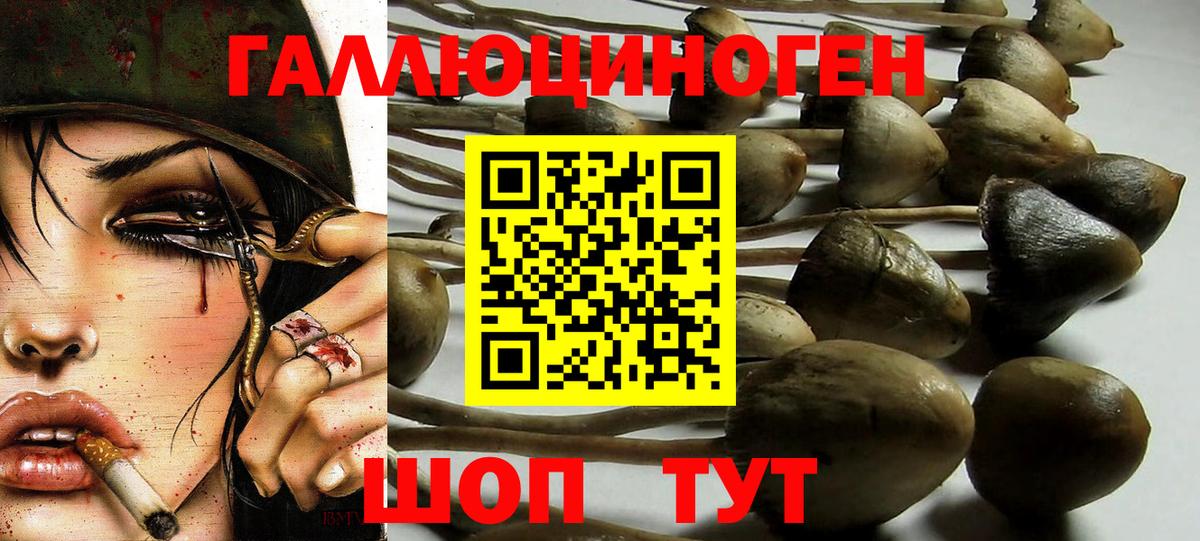 Псилоцибиновые грибы MAGIC MUSHROOMS Большой Камень