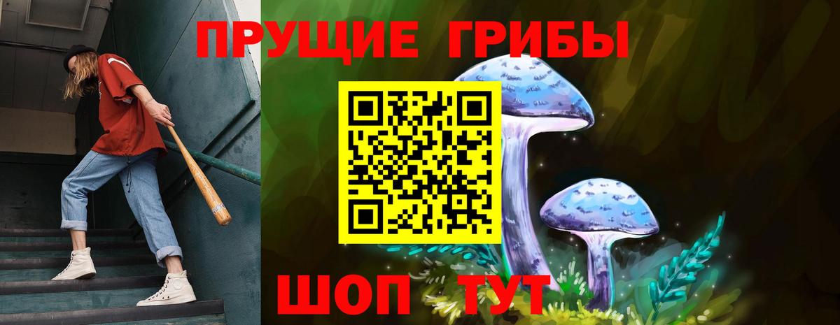 Псилоцибиновые грибы ЛСД  Вход с VPN  Галлюциногенные грибы GOLDEN TEACHER  Большой Камень 